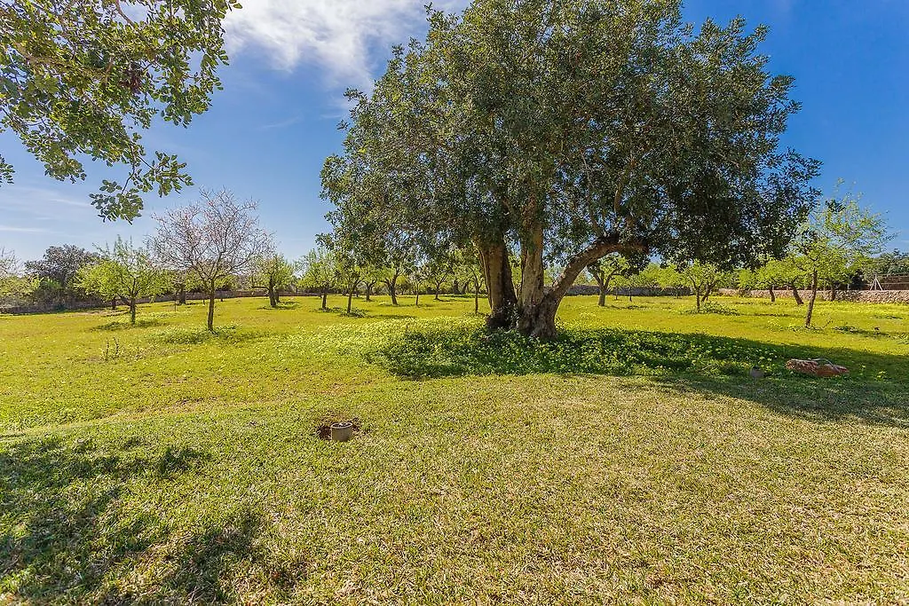 Finca Sa Foradada Cala D´Or Espagne
